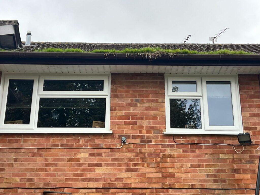 our-latest-projects-1