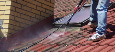 Roof-Moss-Removal-1